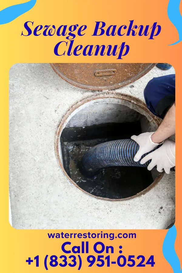 Sewage Backup Cleanup in Stanley, LA